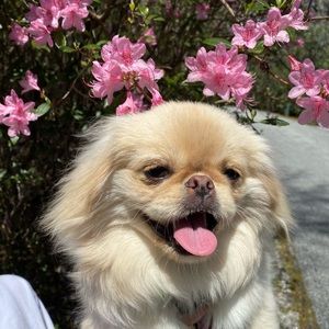 Meet your Posher, Margot